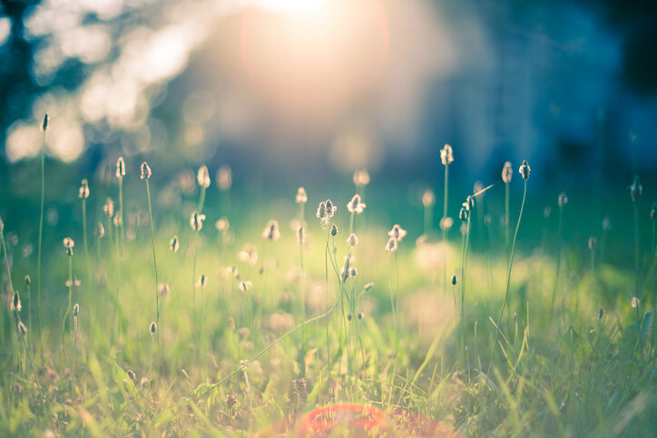 iStock-184342766.jpg